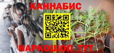 индика Кандалакша