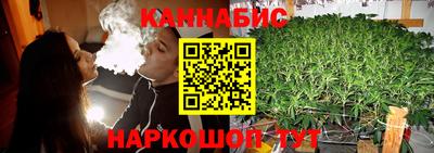 индика Кандалакша