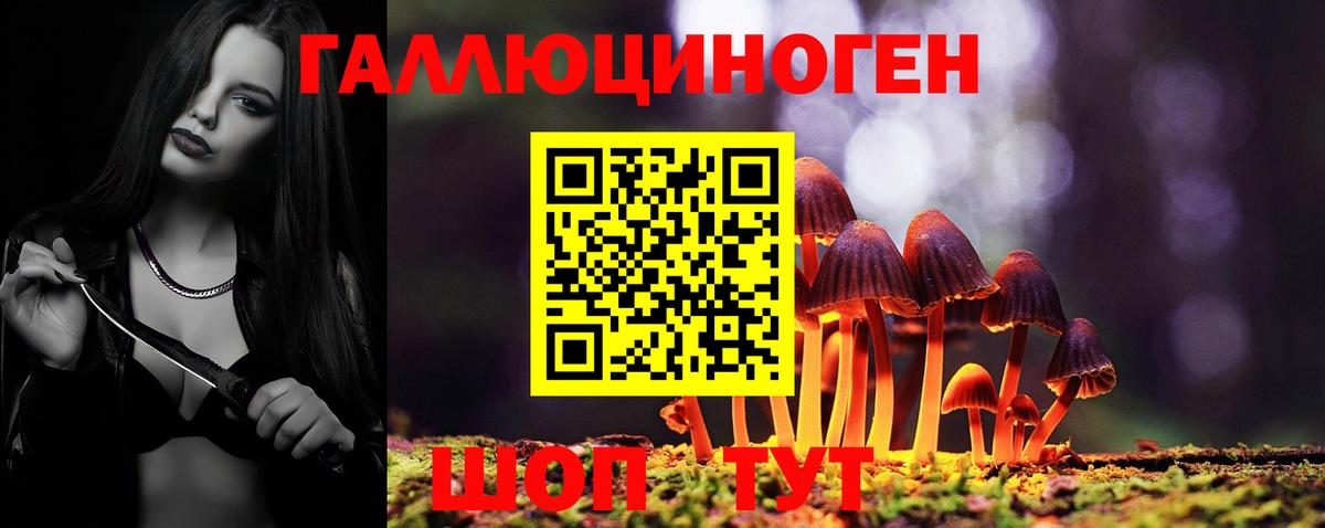 Галлюциногенные грибы Magic Shrooms  Вход с VPN  Лесной 
