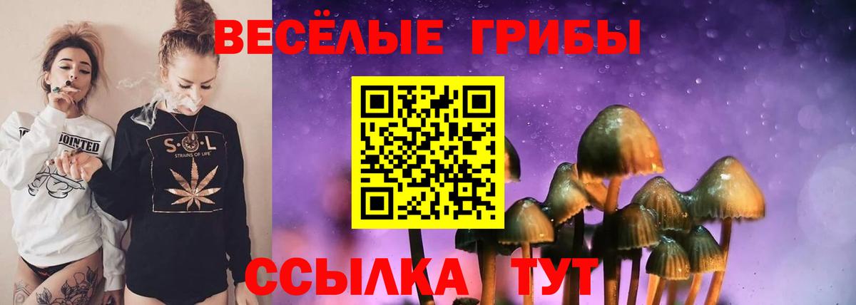 Галлюциногенные грибы мицелий Лесной