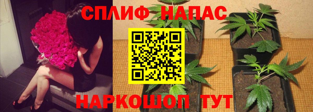 Канабис VHQ Лесной