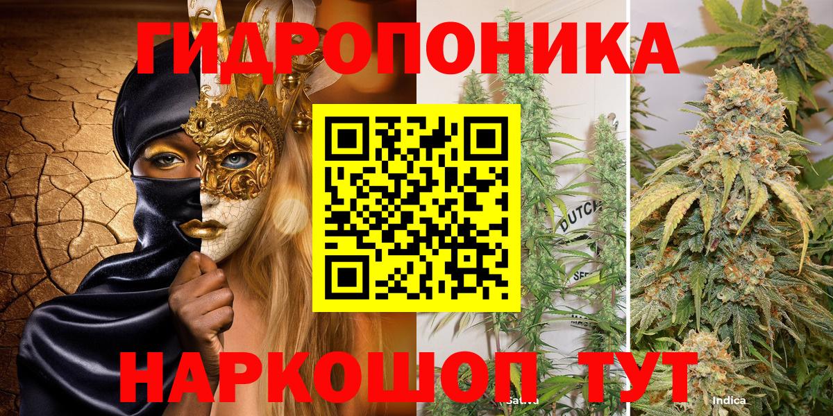 Канабис тримм  Вход с VPN  Канабис VHQ  Лесной 
